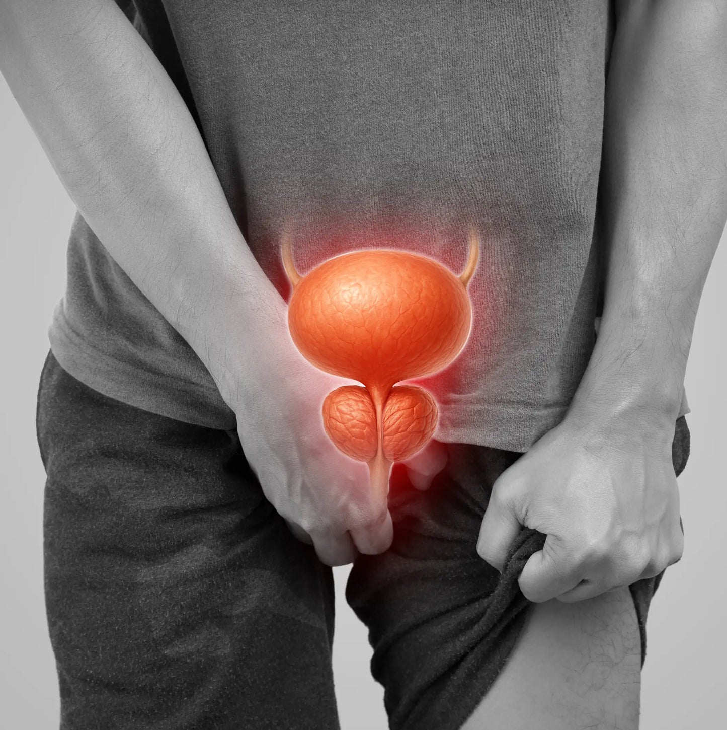 Most Doctors Don't Understand The Prostate