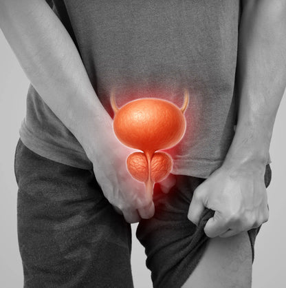 Most Doctors Don't Understand The Prostate
